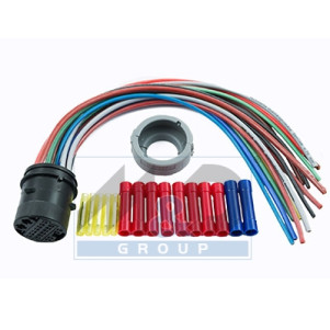 PIECES POUR SYSTEMES DE GESTION MOTEUR